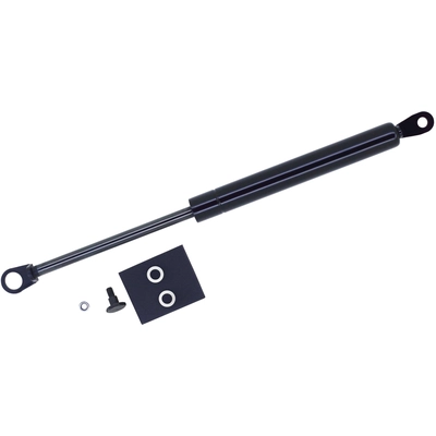Lift Support by TUFF SUPPORT - 613577 pa2