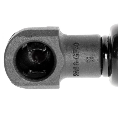 VAICO - V10-4698 - Liftgate Lift Support pa2