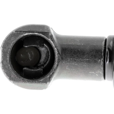 Lift Support by VAICO - V20-1010 pa2