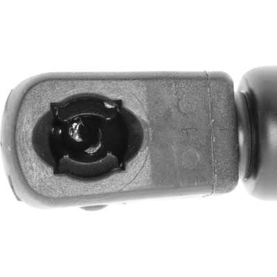 Lift Support by VAICO - V30-2066 pa6