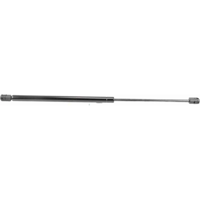 VAICO - V50-0039 - Tailgate Lift Support pa7