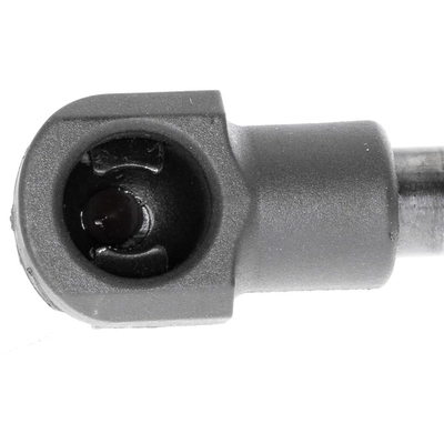 Lift Support by VAICO - V20-2037 pa2