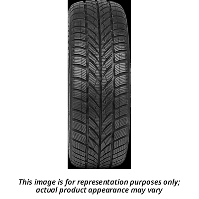 WINTER 16" Tire 205/55R16 by MAXXIS 1