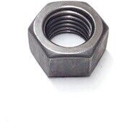 DEXTER AXLE COMPANY - 006-111-00 - Nut Hex Lock pa1