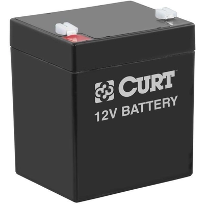 Lockable Breakaway System by CURT MANUFACTURING - 52040 pa4