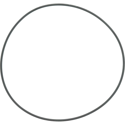 DANA SPICER - 54983 - Locking Hub O-Ring pa2
