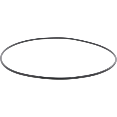 DANA SPICER - 54983 - Locking Hub O-Ring pa3