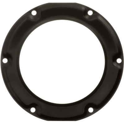 DELPHI - FA10037 - Fuel Tank Lock Ring pa3