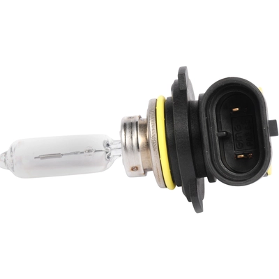 ACDELCO - 13587719 - Halogen Bulb pa2
