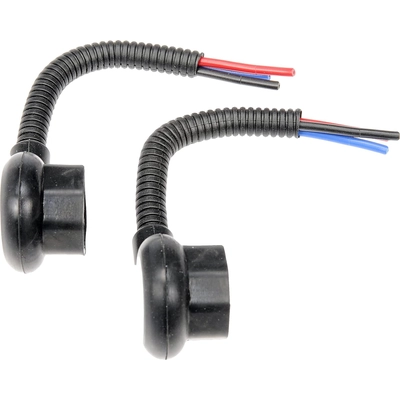 Low Beam Headlight Socket by DORMAN/CONDUCT-TITE - 84790 pa1