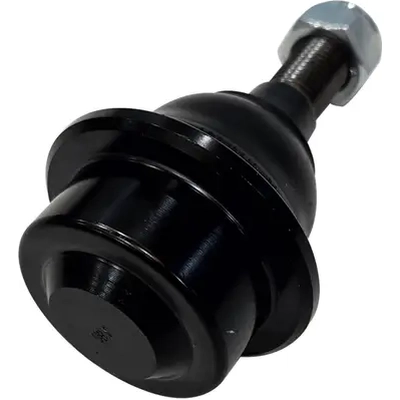 CTR - CB0089 - Lower Ball Joint pa6