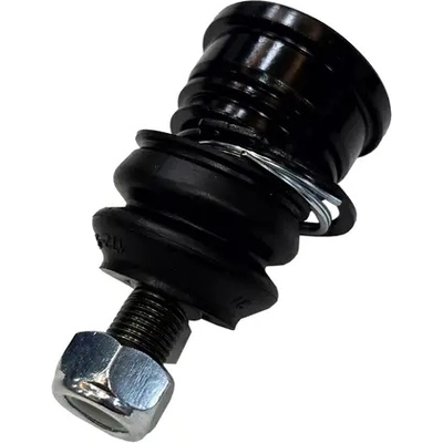 Lower Ball Joint by CTR - CB0262 pa1