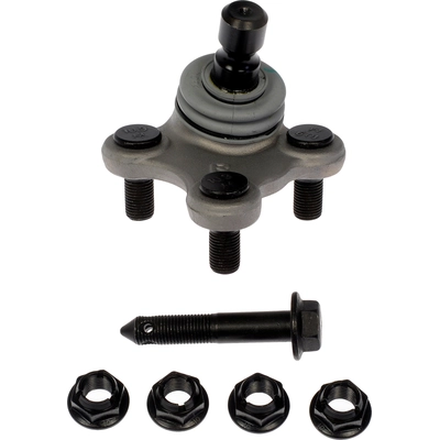 Lower Ball Joint by DORMAN (OE SOLUTIONS) - 539-798 pa1