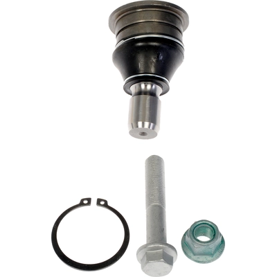 Lower Ball Joint by DORMAN (OE SOLUTIONS) - 539-891 pa1
