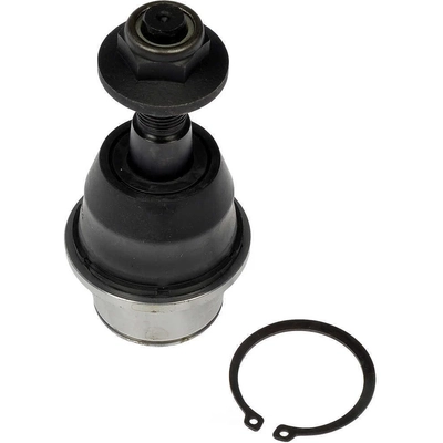 Lower Ball Joint by DORMAN (OE SOLUTIONS) - 539-979 pa1
