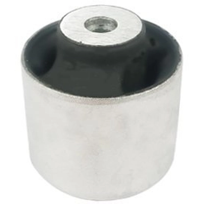 SUSPENSIA CHASSIS - X60BU0687 - Front Lower Forward Suspension Control Arm Bushing pa1