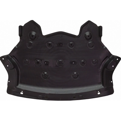 Lower Engine Cover - BM1228179C pa4
