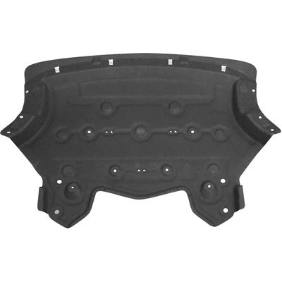 Lower Engine Cover - BM1228192 pa1