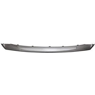 Lower Grille Molding - LX1216102 pa1