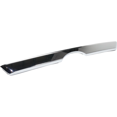 Lower Grille Molding - TO1216103C pa2