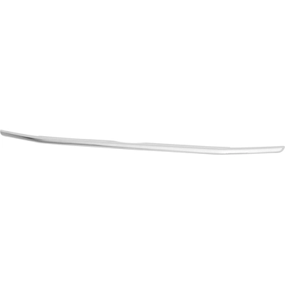 Lower Grille Molding - FO1216117C pa1