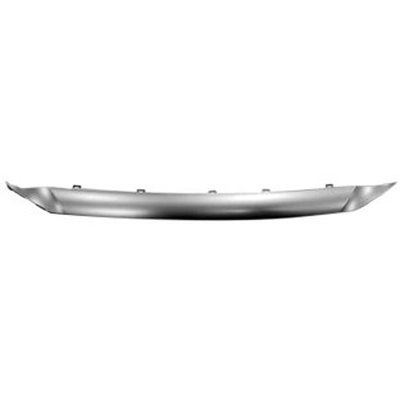 Lower Grille Molding - LX1216104 pa1