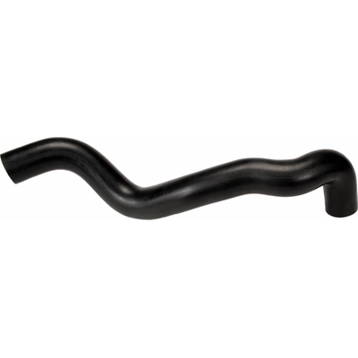CONTINENTAL - 62904 - Lower Radiator Coolant Hose pa4