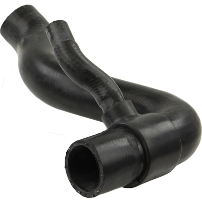 CRP/REIN - CHR0919 - Lower Radiator Or Coolant Hose pa2