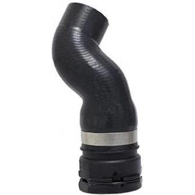 Tuyau de radiateur ou de refroidissement inférieur de DAYCO - 73059 pa2