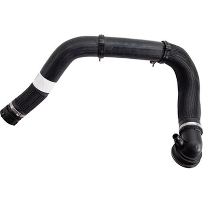 DAYCO - 74335 - Lower Radiator Or Coolant Hose pa1