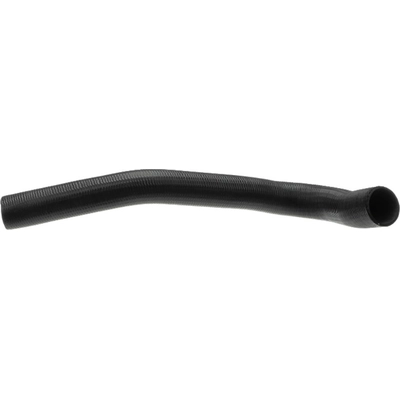 GATES - 21031 - Lower Radiator Or Coolant Hose pa8