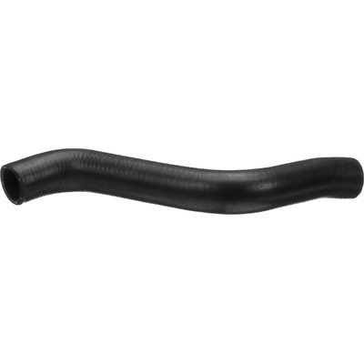 GATES - 21534 - Lower Radiator Or Coolant Hose pa8