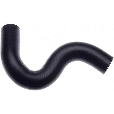 Lower Radiator Or Coolant Hose by GATES - 21946 pa2
