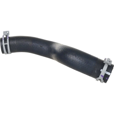 Lower Radiator Or Coolant Hose by MOTORCRAFT - KM4988 pa7
