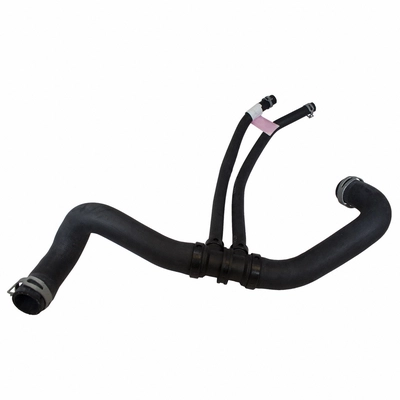 Lower Radiator Or Coolant Hose by MOTORCRAFT - KM4348 pa2