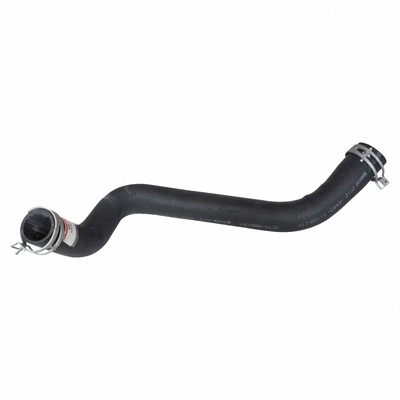 Lower Radiator Or Coolant Hose by MOTORCRAFT - KM4542 pa2