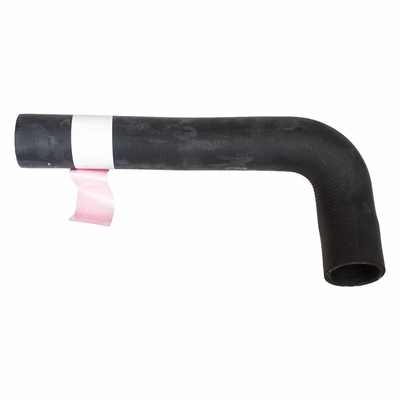 Lower Radiator Or Coolant Hose by MOTORCRAFT - KM4969 pa1