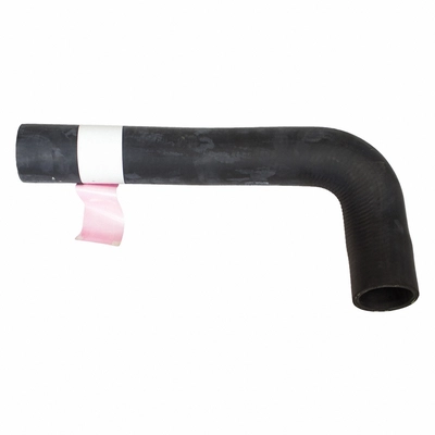 Lower Radiator Or Coolant Hose by MOTORCRAFT - KM4969 pa3