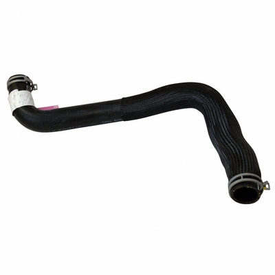 Lower Radiator Or Coolant Hose by MOTORCRAFT - KM5062 pa2