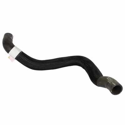 Lower Radiator Or Coolant Hose by MOTORCRAFT - KM5247 pa2