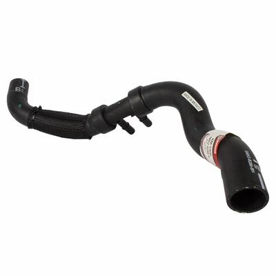 Lower Radiator Or Coolant Hose by MOTORCRAFT - KM5406 pa4