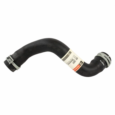 Lower Radiator Or Coolant Hose by MOTORCRAFT - KM5502 pa1
