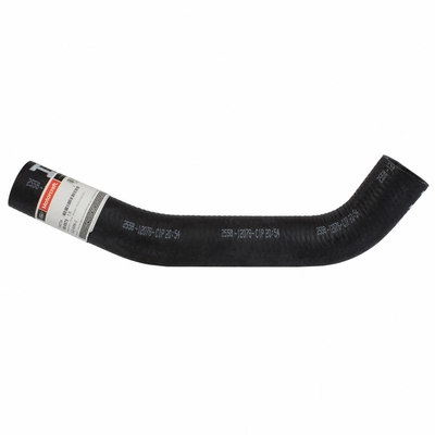 Lower Radiator Or Coolant Hose by MOTORCRAFT - KM6679 pa3