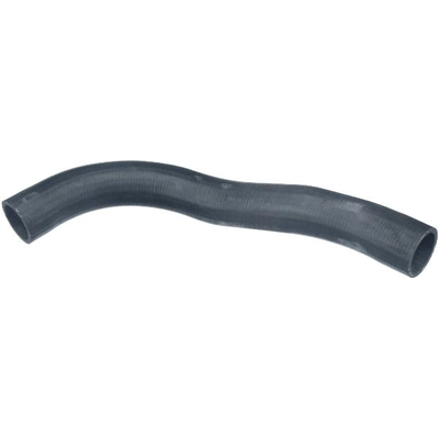 Lower Radiator Or Coolant Hose by URO - 1075010082 pa6