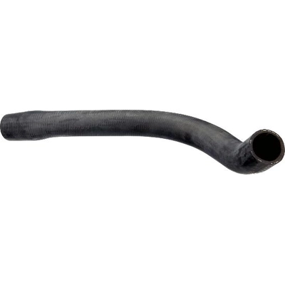Lower Radiator Or Coolant Hose by URO - 1075010982 pa6