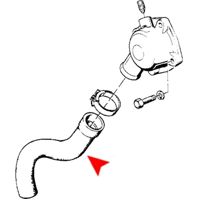 Lower Radiator Or Coolant Hose by URO - 11531289859 pa3
