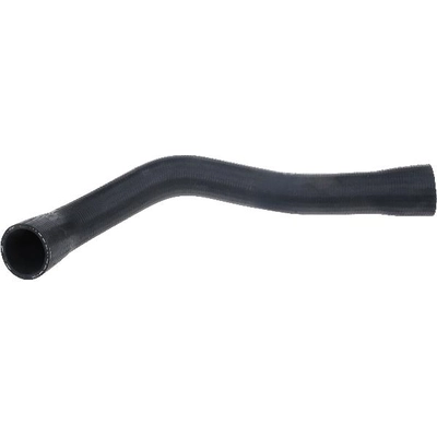 Lower Radiator Or Coolant Hose by URO - 11531740481 pa3