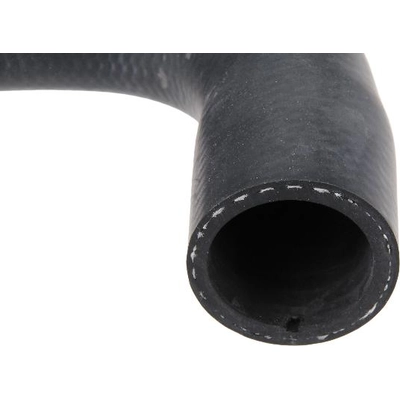 Lower Radiator Or Coolant Hose by URO - 17127617364 pa2
