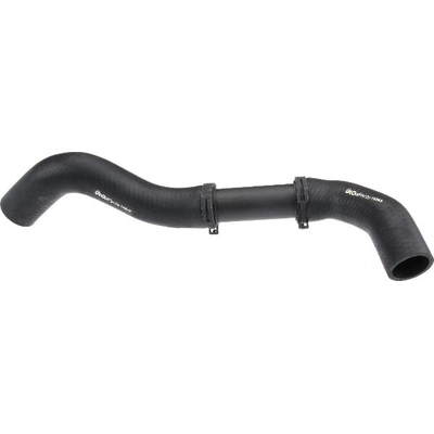 URO - C2C9778 - Radiator Hose pa5
