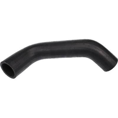 Lower Radiator Or Coolant Hose by URO - XR849444 pa3
